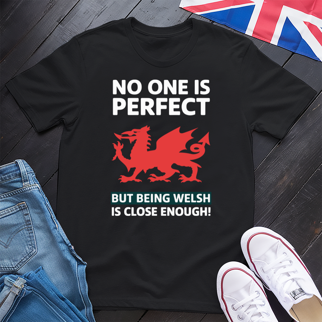 No One Is Perfect ( Wales) T-shirt