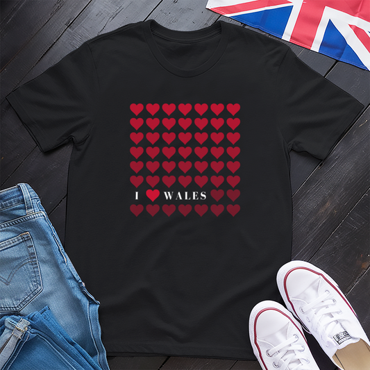 Love Wales T-Shirt