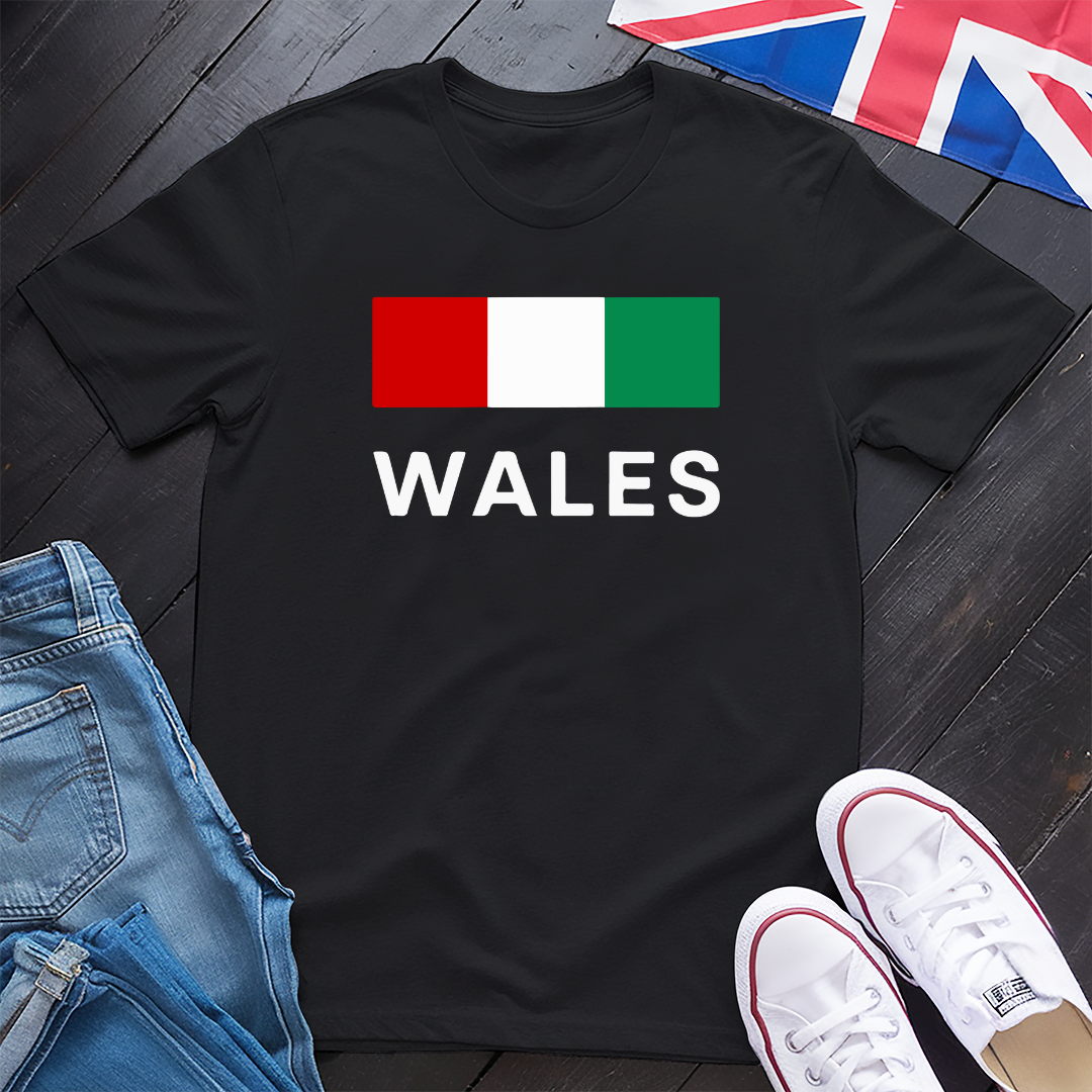 Colours of Wales T-shirt