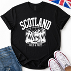 Highland Stag