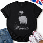 Shetland Puffin