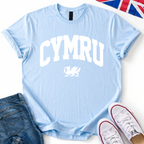 Cymru & Dragon