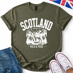 Highland Stag