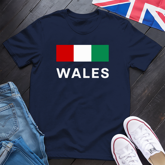 Colours of Wales T-shirt