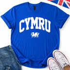 Cymru & Dragon