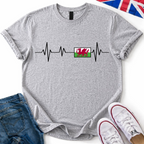 Heartbeat of Wales