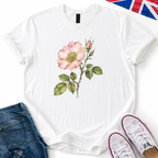 Delicate Wild Rose
