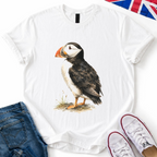 Elegant puffin