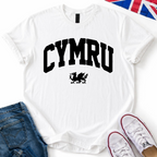Cymru & Dragon